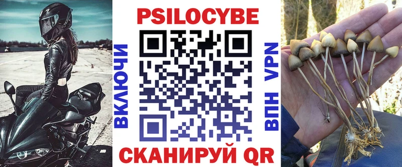 Псилоцибиновые грибы Psilocybine cubensis  Купить закладки  Малоархангельск 